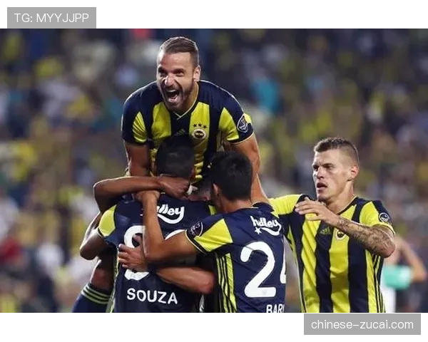 欧冠篮球长期牌照球队与外围球队资源配置与竞争力差异研究